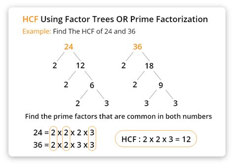 How To Find Lcm With Factor Tree Haiper