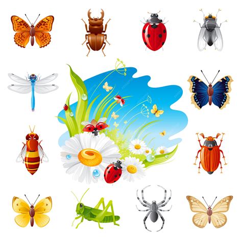 Premium Vector Summer Insect Icon Set