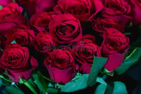 Bunch Of Red Roses Stock Image Image Of Flower Holiday 109938203