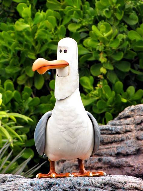 Its A Seagull From Finding Nemo How Cute That Is One Of My Favorite