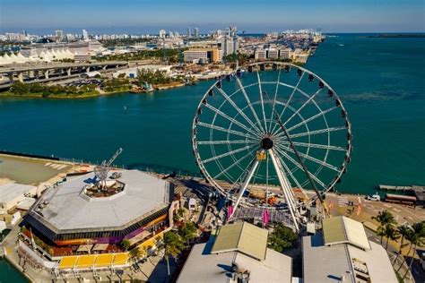 58 Fun And Unusual Things To Do In Miami Florida Tourscanner