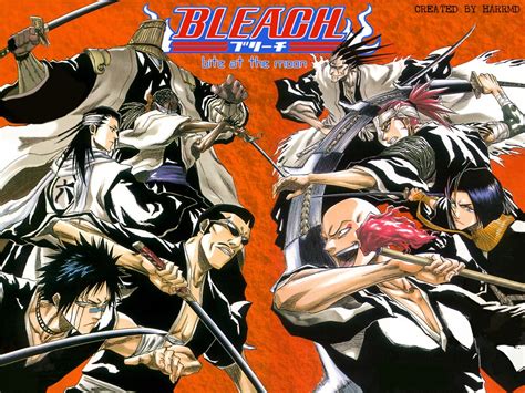 Fight - Bleach Wallpaper | Anime Wallpapers