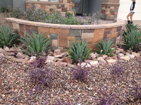 Pin By Amie Lewis On Succulents Cacti Landscaping With Rocks