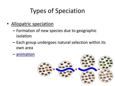 Allopatric Speciation Animation