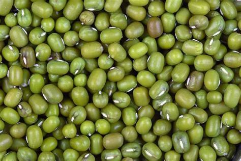 6 fette di pane di segale; Soia verde o fagiolo mung - Idee Green