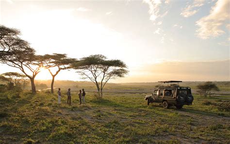 Best 44 Serengeti Wallpaper On Hipwallpaper Serengeti