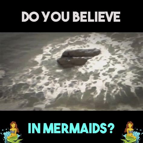 5 Mermaids Caught On Camera Have You Ever Seen A Real Mermaid Before