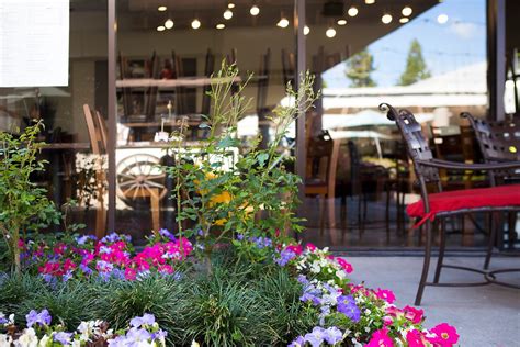 Welcome to your laguna niguel, ca whole foods market! Plumeria Cafe By Stacks Yummily Expands South County's ...