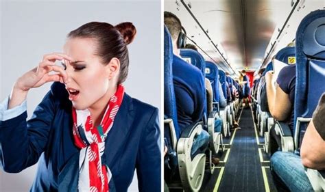 Flight Secrets Cabin Crew Member Reveals One Thing You Should Not Do