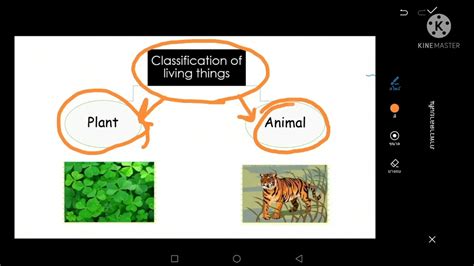 Classification Of Living Things Youtube