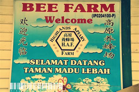 Considered as a novelty in cameron highlands, the honey bee farms are known for their production of delicious honey which is kept up for sale as well as displayed for the foreigners. mrkumai.blogspot.com: Tips Melawat Cameron Highlands ...