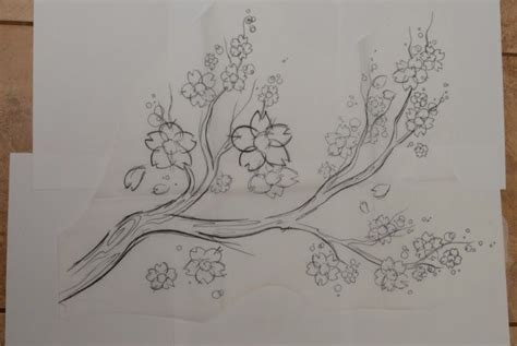 Sketsa Bunga Anggrek Hitam Putih Justin Wilson