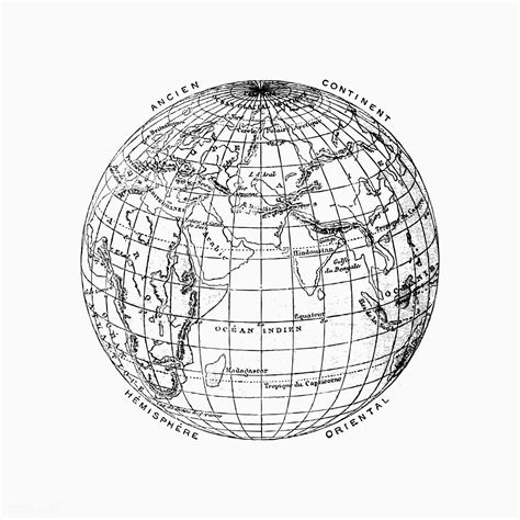 Globe Line Art Vector Free Download Free Mock Up