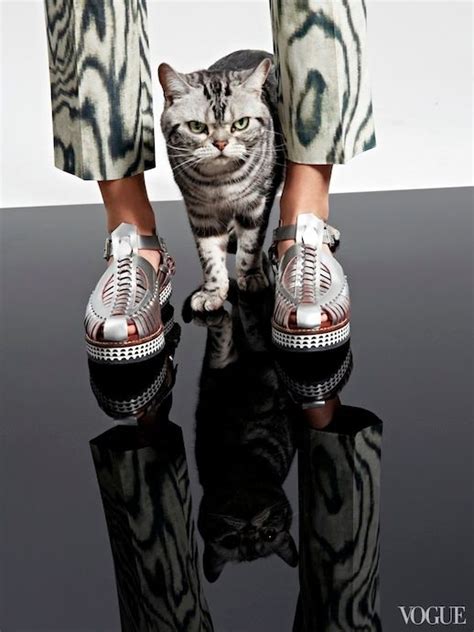 Le Fashion Cats Flats
