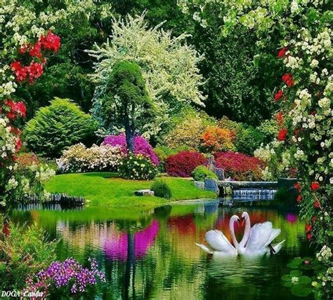 Beautiful Flowers Garden Beautiful Gardens Gorgeous Scenery