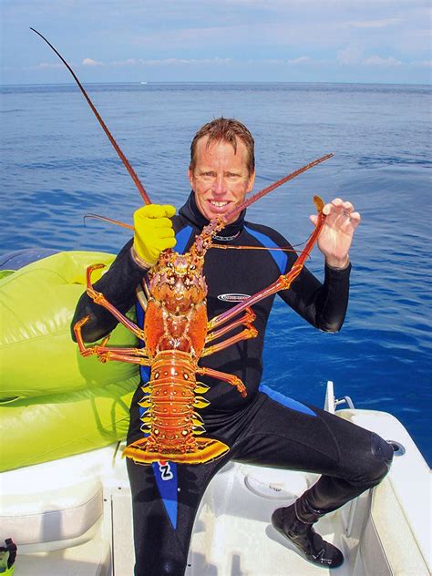 Regular Spiny Lobster Season Opens Aug 6 Coastal Angler And The Angler