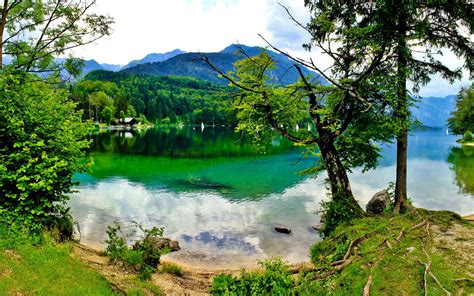Slovenia Landscape Bohinj Lake Nature Forest Coast Trees Reflection