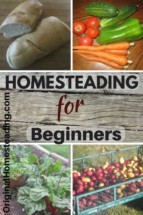 Homesteading For Beginners Learn How To Begin Homesteading No Matter