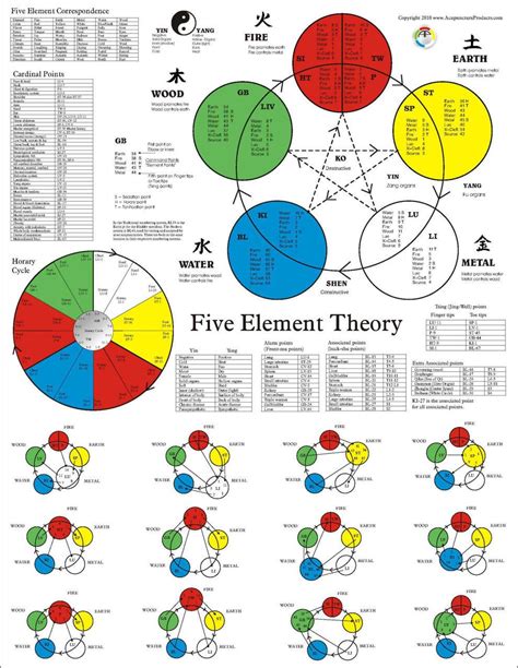 The Five Element Acupuncture Poster Acupuncture Charts Acupuncture