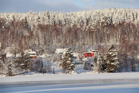 Villas In Small Swedish Town Ludvika Between The Forest And The