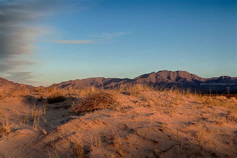 Kelso Dunes At Mojave Desert National Preserve Ca