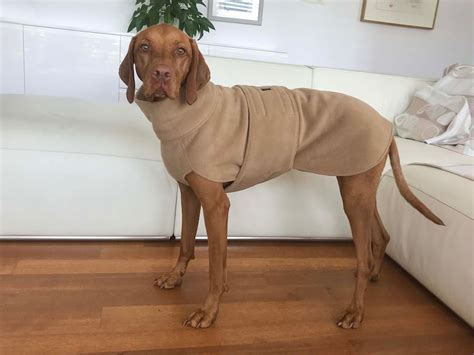 Vizsla Mantel Vizsla Fleece Mantel Hund Trenchcoat Etsy