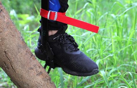 Top 10 Best Climbing Tree Shoes In 2023 Reviews Buyers Guide