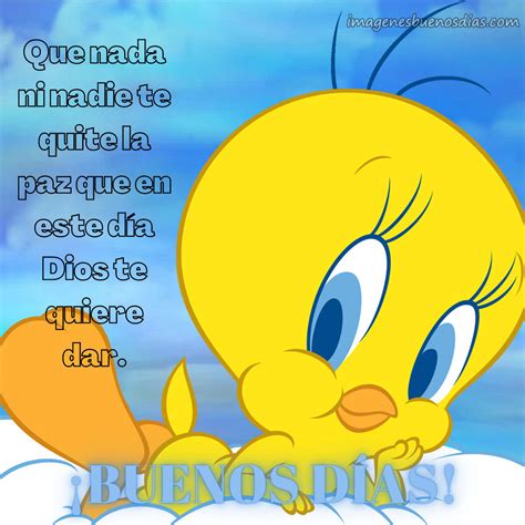 Piolin Buenos Dias Frases Imágenes Buenos Días