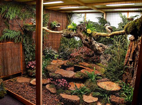 Mejor Con Luz Natural Bird Aviary Pet Bird Cage Diy Bird Cage