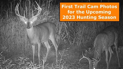 2023 Oklahoma Whitetail Buck Trail Cam Pics 1 Youtube
