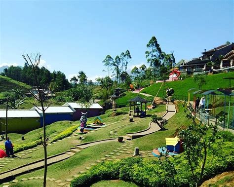 Salah satu objek wisata edukasi yang saat ini sedang hit di yogyakarta adalah taman pintar. 10 Foto Serunya Wahana yang Ada di Taman Kelinci Malang - WIKIPIE.CO.ID