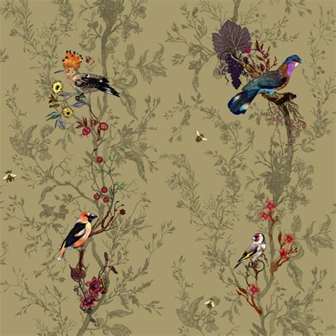 34 Best Bird Wallpaper Images On Pinterest Wall