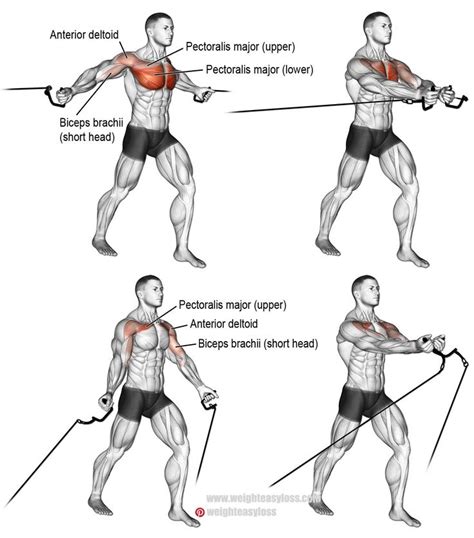Chest Cable Flyes Cable Workout Chest Workouts Chest Fly Workout