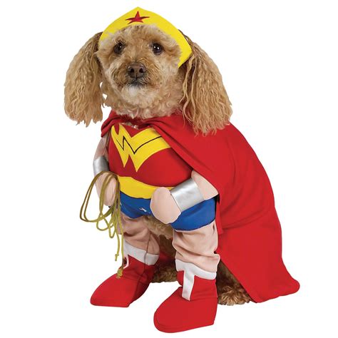 Funny Animals In Superhero Costumes Animal Photo