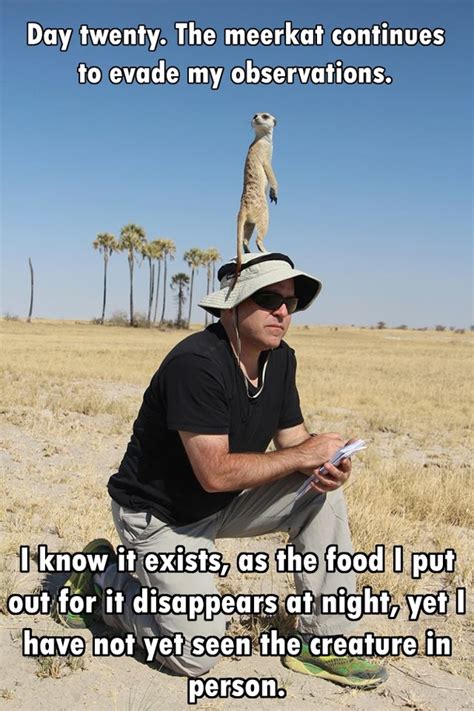 Not only does laughter reduce stress, it lowers your blood pressure, gives you an excellent ab workout, and releases endorphins. That elusive meerkat - Meme Guy