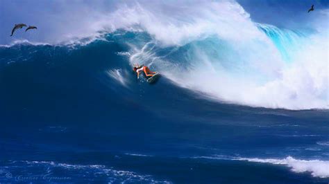 46 Surfing Wallpaper Widescreen Wallpapersafari