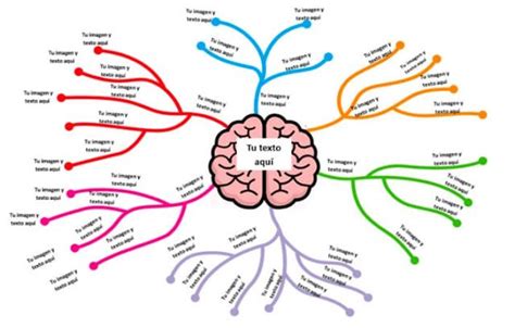 Plantillas Para Mapas Mentales