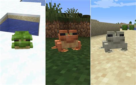 How To Get Different Colored Frogs In Minecraft 119 The Wild Update