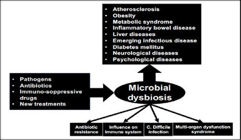 Dysbiosis And Incidence Of Critical Pathologies Download Scientific