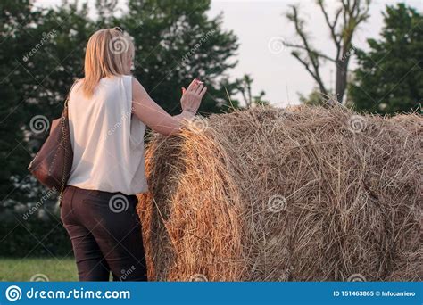 Photograph Of A Field With Rolls Of Hay That Will Be Food For Farm
