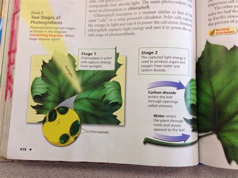 Mr. Grove's Classes Science textbook Page 410 In Class Assignment