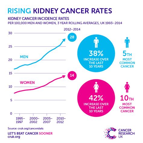Kidney Cancer Rates Are Increasing So Whats Fuelling The Surge