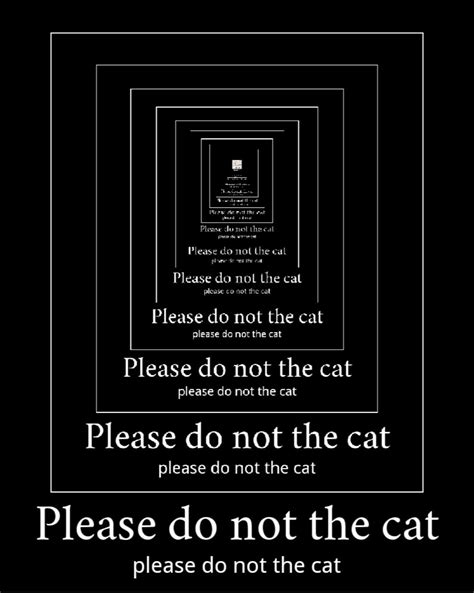 Please Do Not The Cat Rpleasedonotthecat