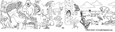 Coloring Pages Of Animal Habitats Free Coloring Page