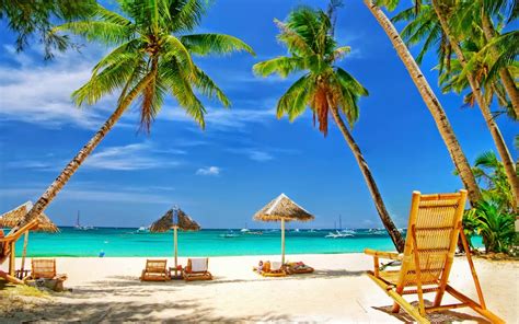 palmy plaża leżak lato ciepłe kraje egzotyczna wyspa wakacje morze