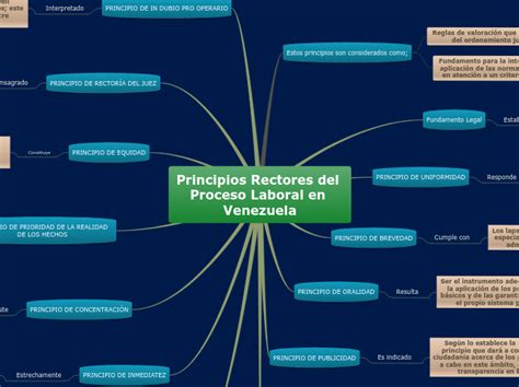 Principios Rectores Del Proceso Laboral En Mind Map