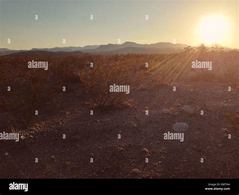 Sunset In Desert Stock Photo Alamy