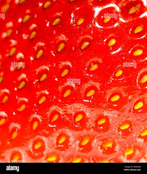 Strawberry Seeds Up Close Hi Res Stock Photography And Images Alamy