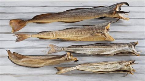 Norwegian Dried Fish Css Contracting And Supply Solutions Limited
