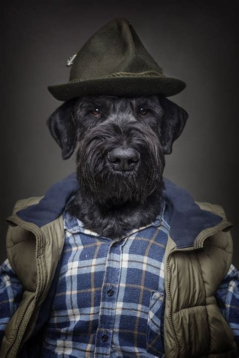 14 Photos Of Dogs Dressed In Human Clothing Based On Their